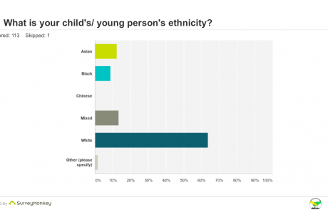SEND Survey - Q6 ethnicity graph