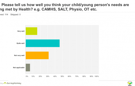 SEND Survey - Q8 view on Health graph