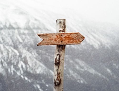 Council for Disabled Children SEND Reform Information Webinars