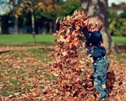 a young boy playing with dried leaves | image credit: Scott Webb via Unsplash.com