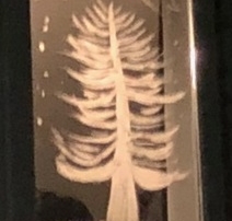 A tree under the stars, painted on a mirror