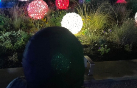 A young person watching balls of light perched on the ground at the Twilight Trail in November 2023