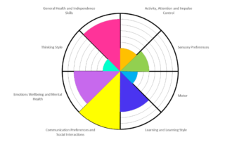The photo shows a sample neuroprofiling chart taken from version 9 of the GM neuroprofiling tool.the