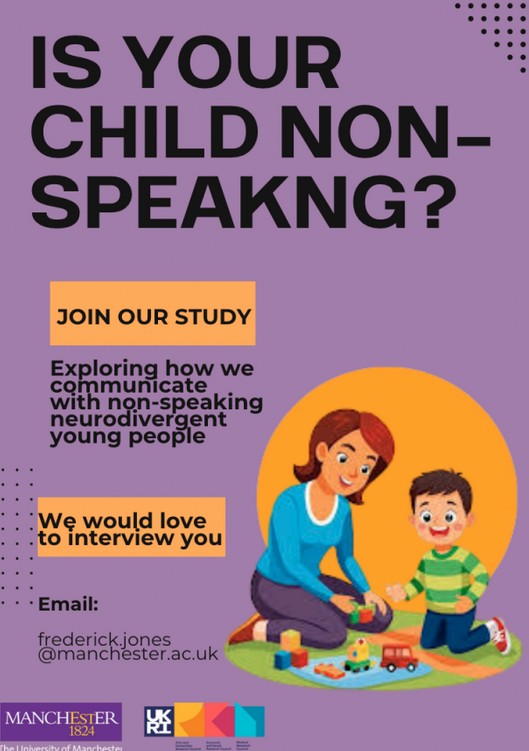 Communicating with Non-Speaking Neurodivergent Young People: Stakeholders Perspectives